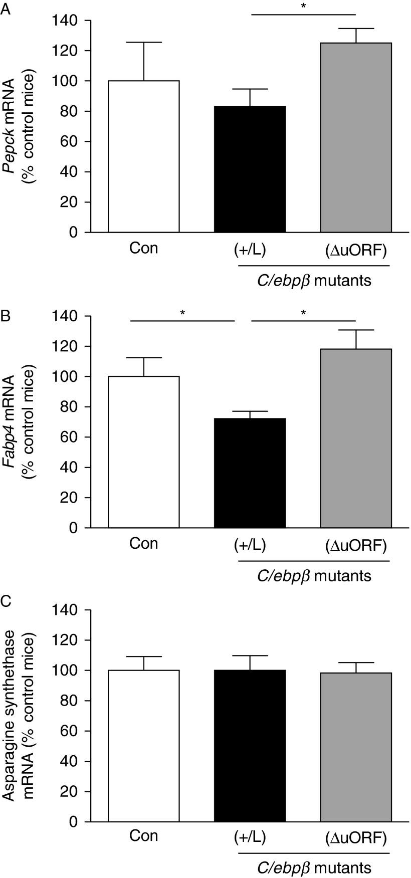 https://cdn.ncbi.nlm.nih.gov/pmc/blobs/c7fb/3672996/28f85097c63b/JME130029f04.jpg