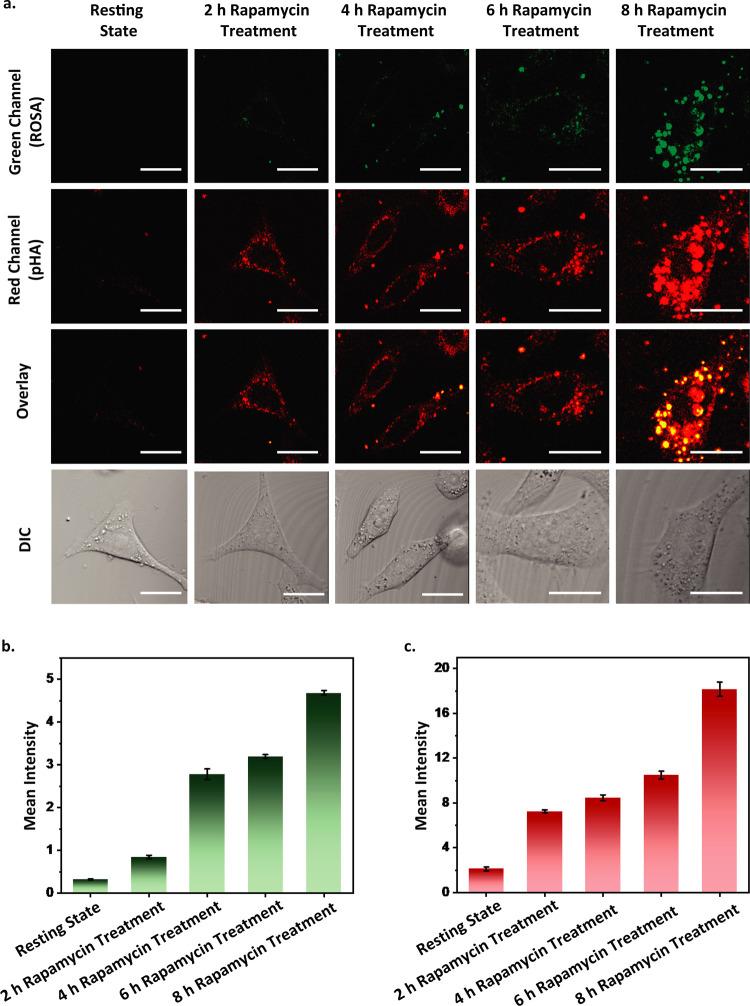 https://cdn.ncbi.nlm.nih.gov/pmc/blobs/c7fc/11775711/d11bdf5bd3c7/au4c01021_0003.jpg