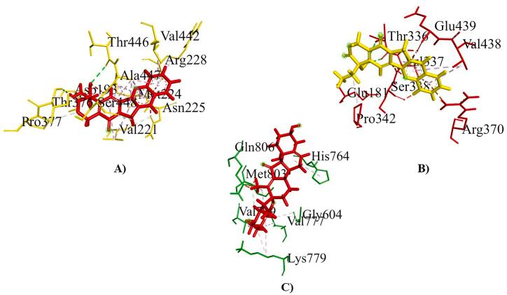 https://cdn.ncbi.nlm.nih.gov/pmc/blobs/c7fd/11791130/b4dcbb9cd3bb/gr9.jpg