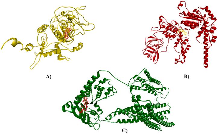 https://cdn.ncbi.nlm.nih.gov/pmc/blobs/c7fd/11791130/ea670bc2a543/gr7.jpg