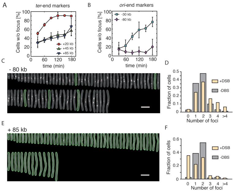 https://cdn.ncbi.nlm.nih.gov/pmc/blobs/c7fe/5829741/58d0782d6668/gkx1290fig3.jpg