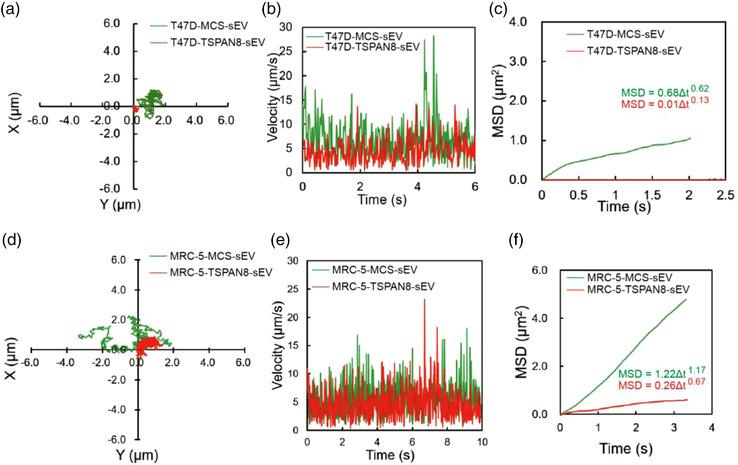 https://cdn.ncbi.nlm.nih.gov/pmc/blobs/c7fe/8602930/8251714630a0/JEV2-10-e12167-g002.jpg