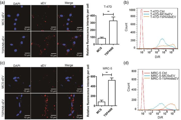 https://cdn.ncbi.nlm.nih.gov/pmc/blobs/c7fe/8602930/b343fb5c09ba/JEV2-10-e12167-g001.jpg