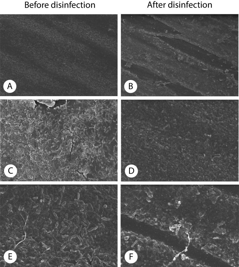 https://cdn.ncbi.nlm.nih.gov/pmc/blobs/c800/10839502/b1073bb43cfd/scdxxbyxb-55-1-217-2.jpg