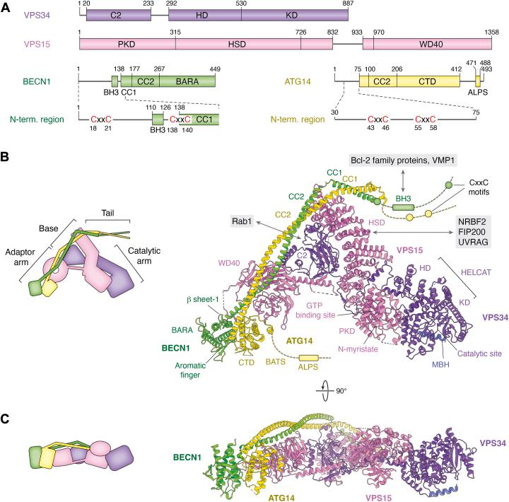 https://cdn.ncbi.nlm.nih.gov/pmc/blobs/c800/12275124/82a9ac4493a4/gr4.jpg