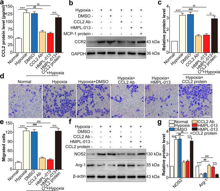 https://cdn.ncbi.nlm.nih.gov/pmc/blobs/c800/7695853/5a778ac2f73e/41419_2020_3222_Fig7_HTML.jpg