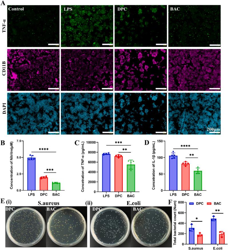 https://cdn.ncbi.nlm.nih.gov/pmc/blobs/c802/10432718/5114a2a315e7/gr2.jpg