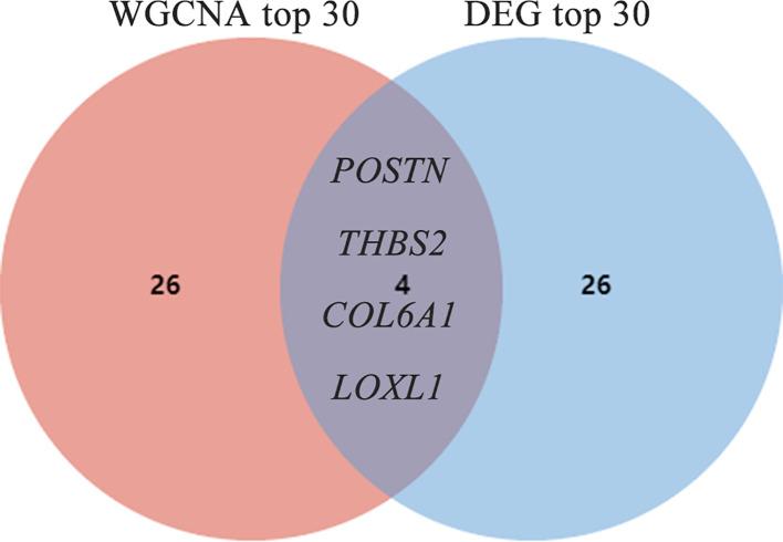https://cdn.ncbi.nlm.nih.gov/pmc/blobs/c804/10622801/cf01a18a6a5b/fimmu-14-1288098-g004.jpg