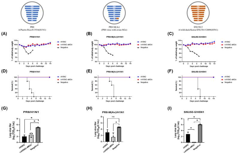 https://cdn.ncbi.nlm.nih.gov/pmc/blobs/c806/11768808/0a9bb257fddc/vaccines-13-00022-g006.jpg