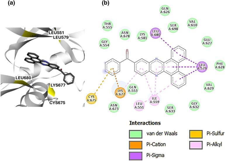 https://cdn.ncbi.nlm.nih.gov/pmc/blobs/c808/11915075/05061e1eafad/OncolRes-33-56256-f003.jpg