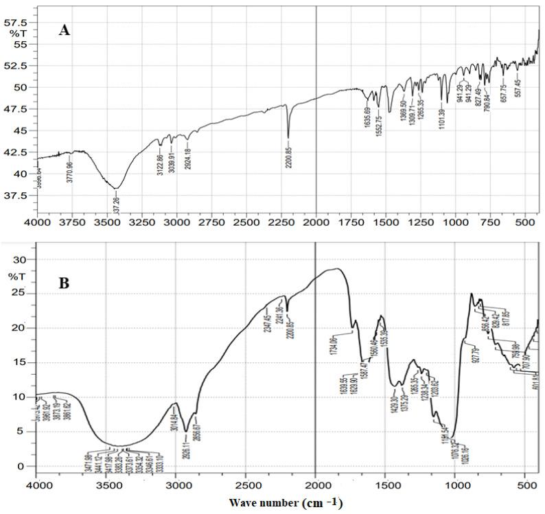 https://cdn.ncbi.nlm.nih.gov/pmc/blobs/c809/10453308/7043c76633c0/gels-09-00626-g005.jpg