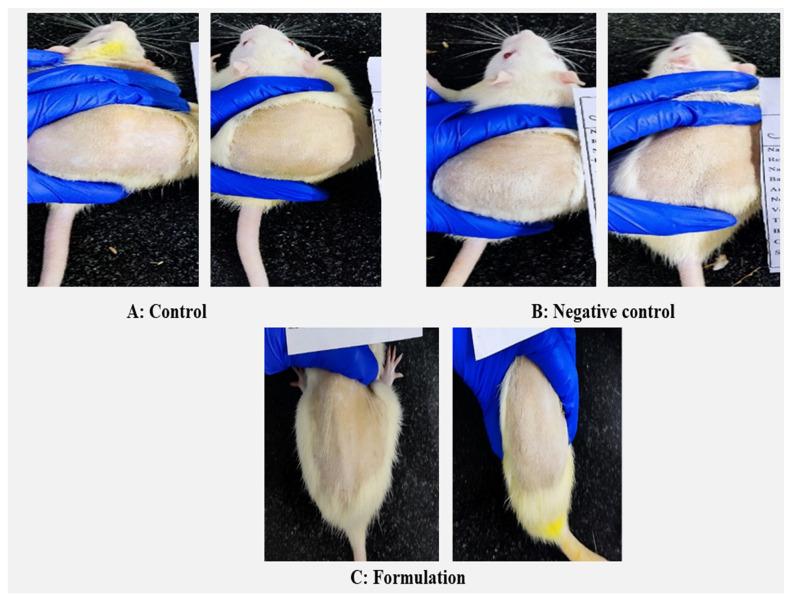 https://cdn.ncbi.nlm.nih.gov/pmc/blobs/c809/10453308/754553d766b7/gels-09-00626-g008.jpg
