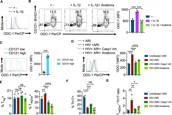 https://cdn.ncbi.nlm.nih.gov/pmc/blobs/c809/9873639/461a793b3265/41467_2023_36163_Fig4_HTML.jpg