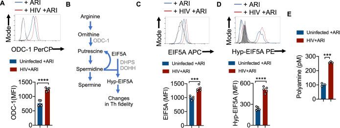 https://cdn.ncbi.nlm.nih.gov/pmc/blobs/c809/9873639/5c556e2c695b/41467_2023_36163_Fig3_HTML.jpg
