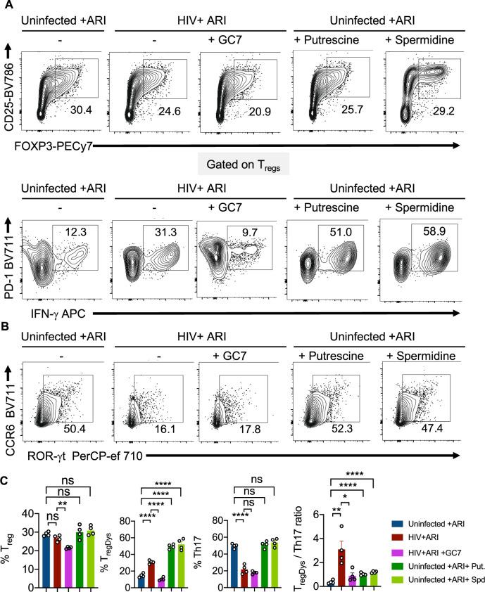 https://cdn.ncbi.nlm.nih.gov/pmc/blobs/c809/9873639/7d92d84f3e83/41467_2023_36163_Fig7_HTML.jpg