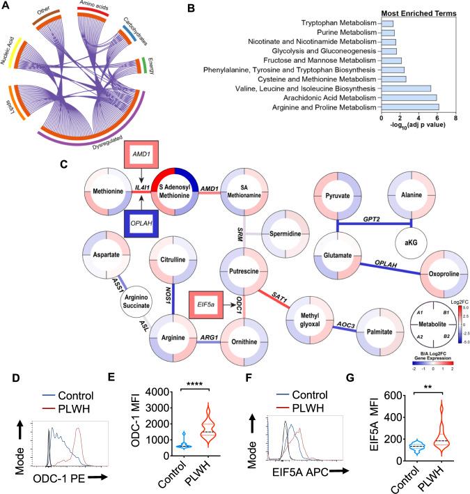 https://cdn.ncbi.nlm.nih.gov/pmc/blobs/c809/9873639/8e10a9f4dbbf/41467_2023_36163_Fig1_HTML.jpg