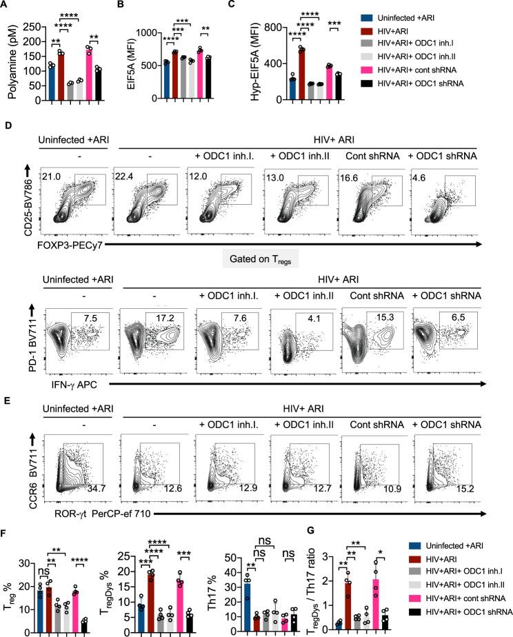 https://cdn.ncbi.nlm.nih.gov/pmc/blobs/c809/9873639/955b93b6d2e1/41467_2023_36163_Fig5_HTML.jpg