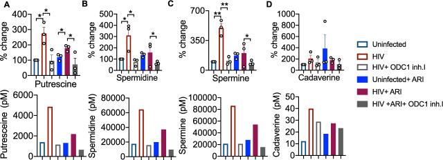 https://cdn.ncbi.nlm.nih.gov/pmc/blobs/c809/9873639/9da2616f2b3d/41467_2023_36163_Fig6_HTML.jpg