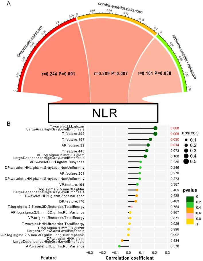 https://cdn.ncbi.nlm.nih.gov/pmc/blobs/c80c/11439624/53d8cfc69510/fonc-14-1401095-g004.jpg