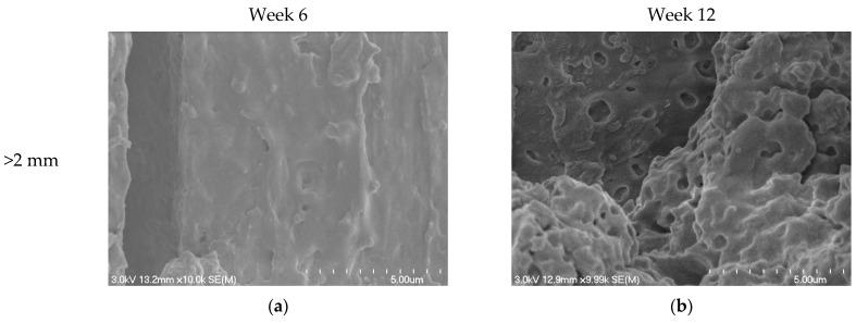 https://cdn.ncbi.nlm.nih.gov/pmc/blobs/c80c/11678349/dab026ecbacd/polymers-16-03450-g009a.jpg