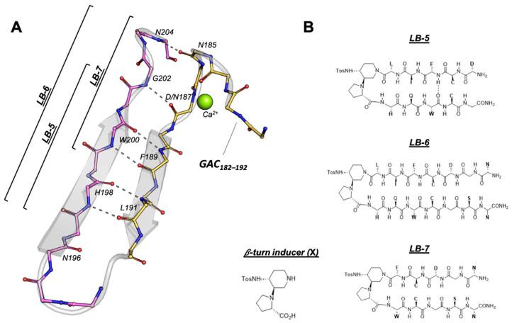https://cdn.ncbi.nlm.nih.gov/pmc/blobs/c810/9698219/beabbd0ed461/ijms-23-13973-g001.jpg