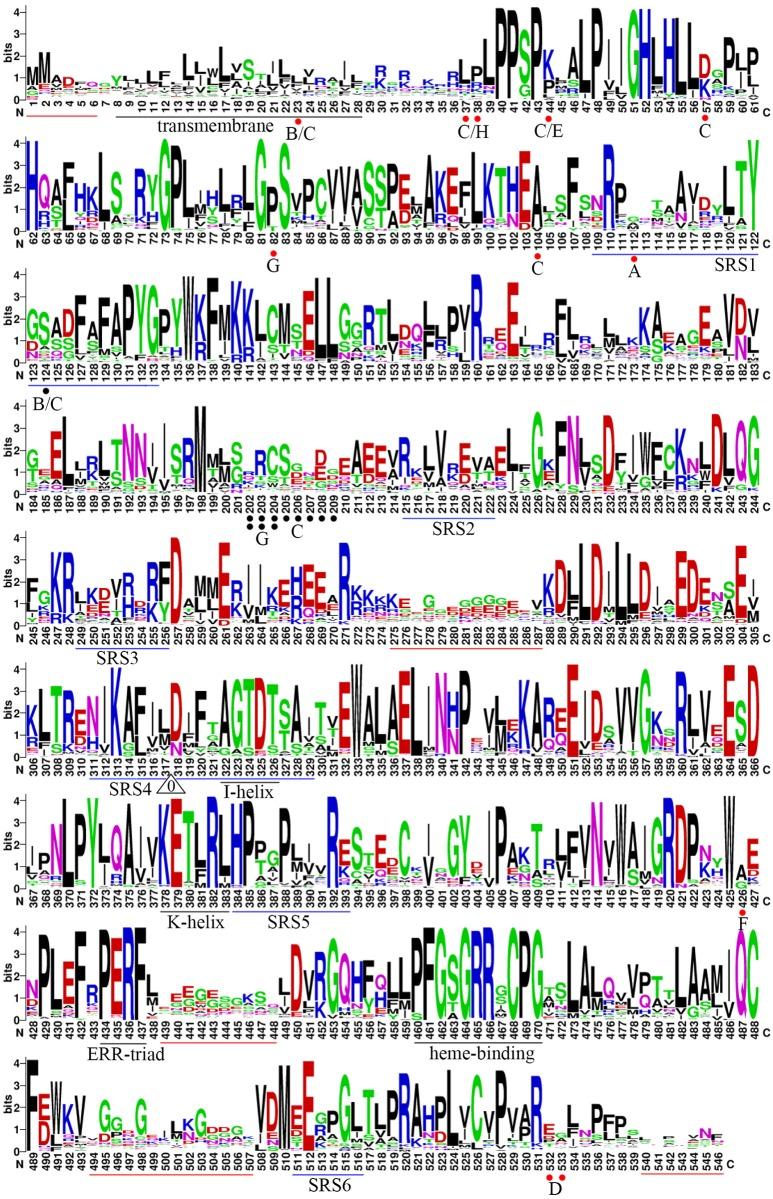 https://cdn.ncbi.nlm.nih.gov/pmc/blobs/c812/5070762/5eec4ef734b3/pone.0165020.g003.jpg