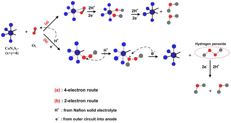 https://cdn.ncbi.nlm.nih.gov/pmc/blobs/c812/7767545/d68502085099/polymers-12-03070-sch003.jpg