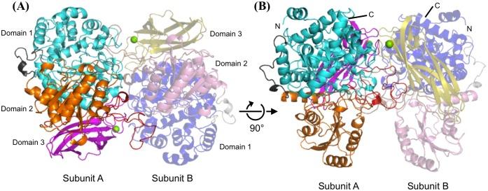 https://cdn.ncbi.nlm.nih.gov/pmc/blobs/c814/4757417/bda6db2eb640/pone.0148870.g001.jpg