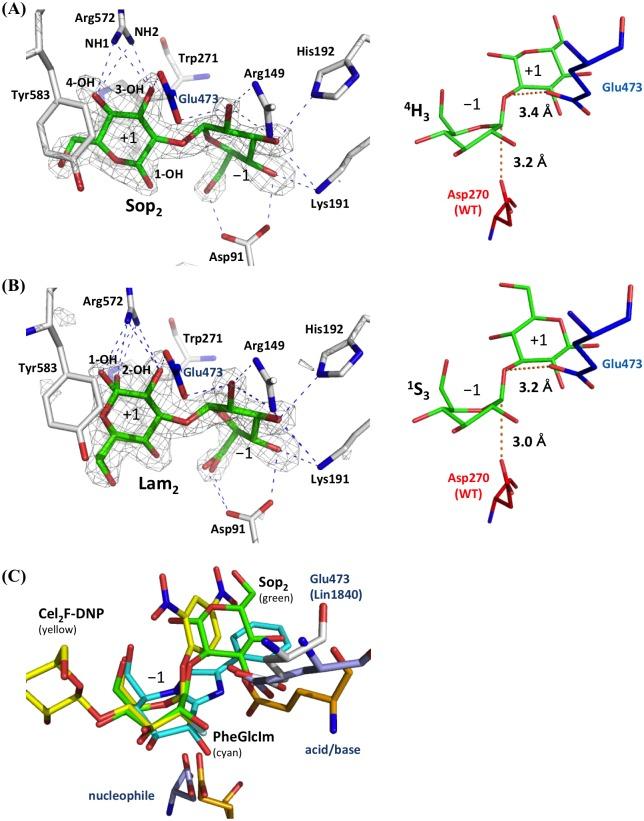 https://cdn.ncbi.nlm.nih.gov/pmc/blobs/c814/4757417/fd625c24d1ca/pone.0148870.g003.jpg
