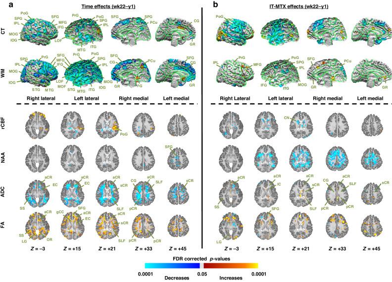 https://cdn.ncbi.nlm.nih.gov/pmc/blobs/c818/11798858/7fd3f159c986/41390_2024_3351_Fig5_HTML.jpg