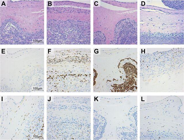 https://cdn.ncbi.nlm.nih.gov/pmc/blobs/c819/8545101/7dee3aef4791/mbio.03115-20-f0004.jpg