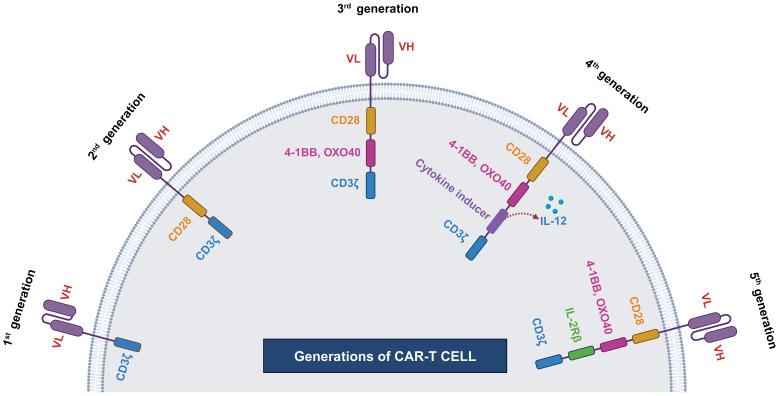 https://cdn.ncbi.nlm.nih.gov/pmc/blobs/c81a/11116574/3ea0f1300d21/fimmu-15-1389971-g002.jpg