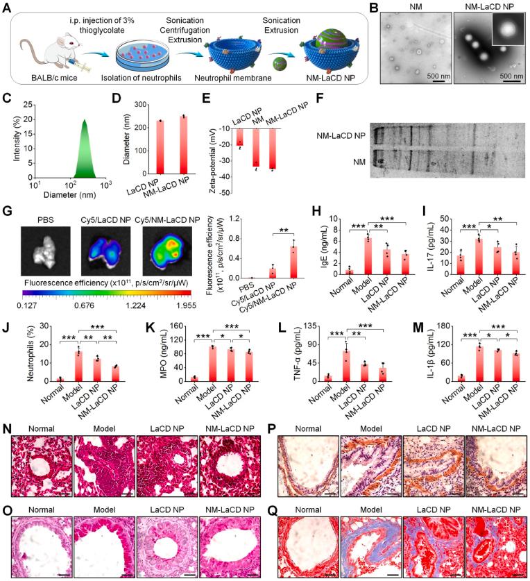 https://cdn.ncbi.nlm.nih.gov/pmc/blobs/c81b/10193170/23b1083482b1/gr5.jpg