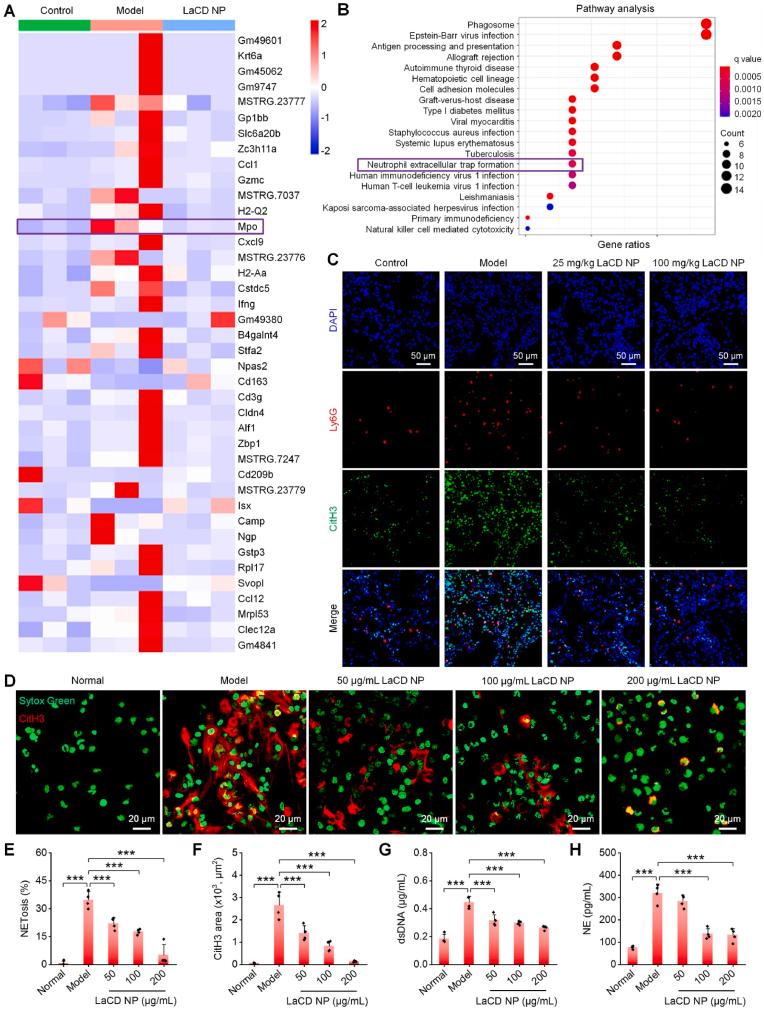 https://cdn.ncbi.nlm.nih.gov/pmc/blobs/c81b/10193170/297d815fdcf6/gr6.jpg