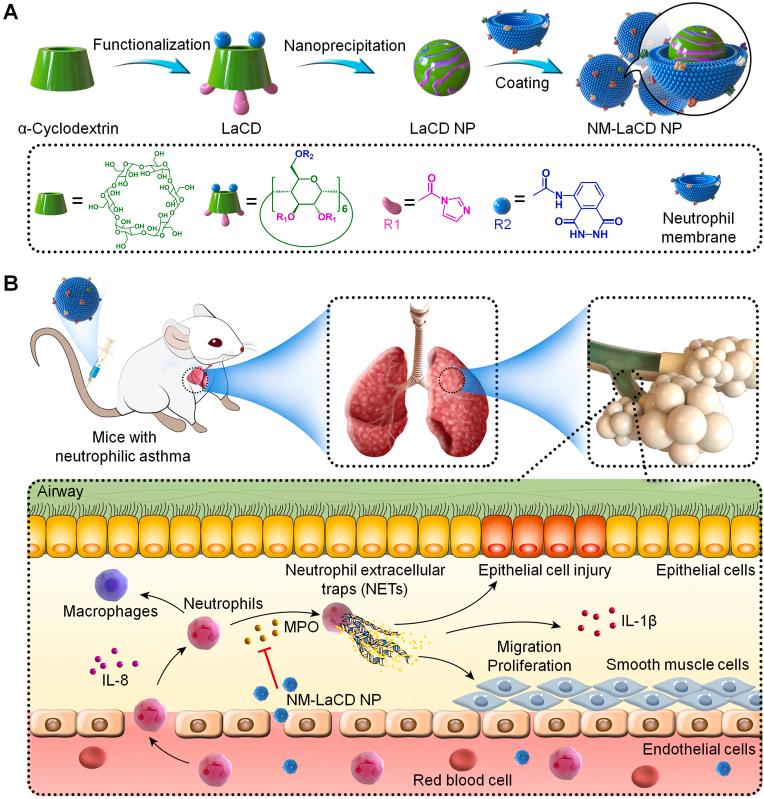 https://cdn.ncbi.nlm.nih.gov/pmc/blobs/c81b/10193170/4c39e27112fc/gr1.jpg