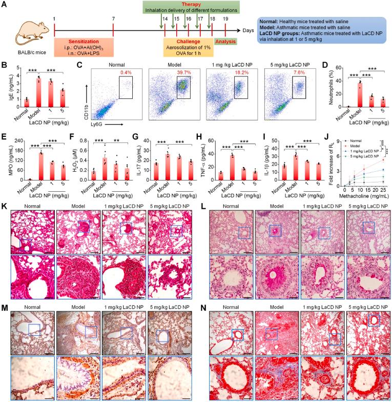 https://cdn.ncbi.nlm.nih.gov/pmc/blobs/c81b/10193170/4ec225cd2103/gr4.jpg
