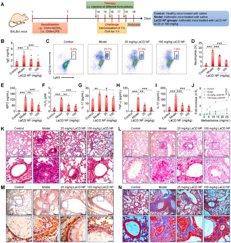 https://cdn.ncbi.nlm.nih.gov/pmc/blobs/c81b/10193170/eb23c0cf8db5/gr3.jpg