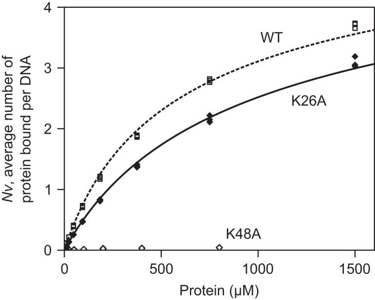 https://cdn.ncbi.nlm.nih.gov/pmc/blobs/c81b/4737164/0362caae44cf/gkv1467fig7.jpg