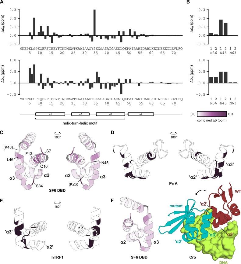 https://cdn.ncbi.nlm.nih.gov/pmc/blobs/c81b/4737164/3307df448175/gkv1467fig8.jpg