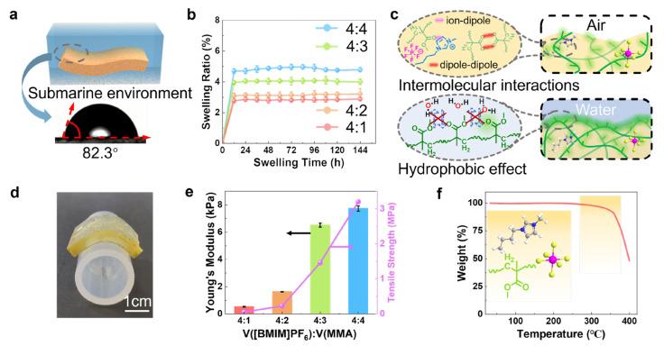https://cdn.ncbi.nlm.nih.gov/pmc/blobs/c81c/10097396/e347ff5a20c5/polymers-15-01746-g002.jpg