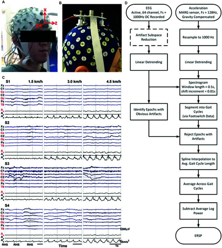https://cdn.ncbi.nlm.nih.gov/pmc/blobs/c81c/4710850/a893a45006c7/fnhum-09-00708-g001.jpg