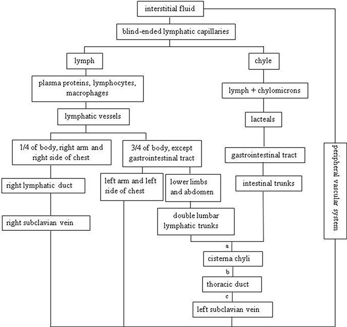 https://cdn.ncbi.nlm.nih.gov/pmc/blobs/c81c/5620321/5717c411392c/oncotarget-08-69062-g001.jpg
