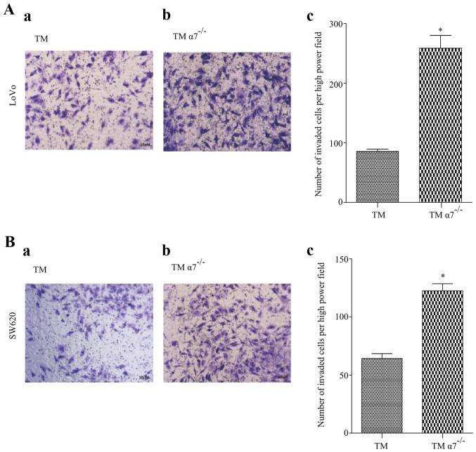 https://cdn.ncbi.nlm.nih.gov/pmc/blobs/c81c/5780013/cac297ba32e1/OR-38-05-2619-g02.jpg