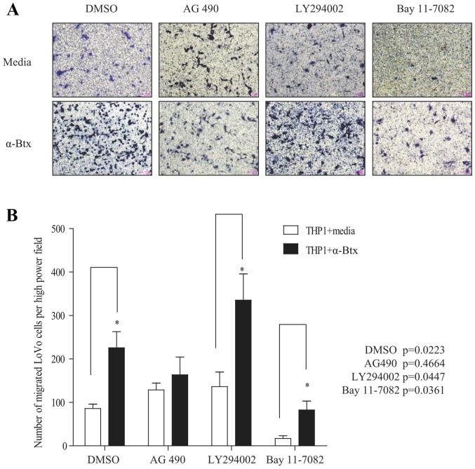 https://cdn.ncbi.nlm.nih.gov/pmc/blobs/c81c/5780013/de9146db58d1/OR-38-05-2619-g05.jpg