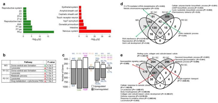 https://cdn.ncbi.nlm.nih.gov/pmc/blobs/c81c/9856674/591c5e287276/cells-12-00270-g002.jpg