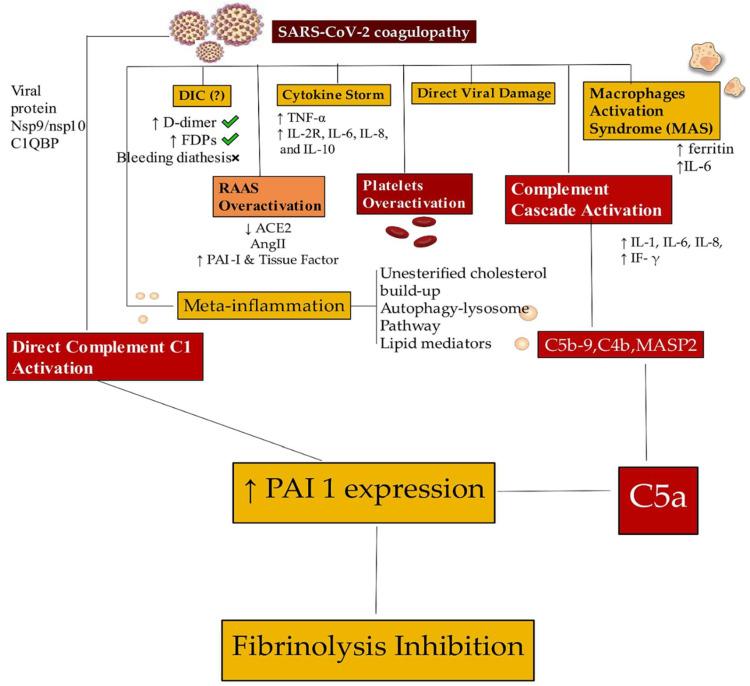 https://cdn.ncbi.nlm.nih.gov/pmc/blobs/c81d/10145666/f21de16c40e3/viruses-15-00916-g005.jpg