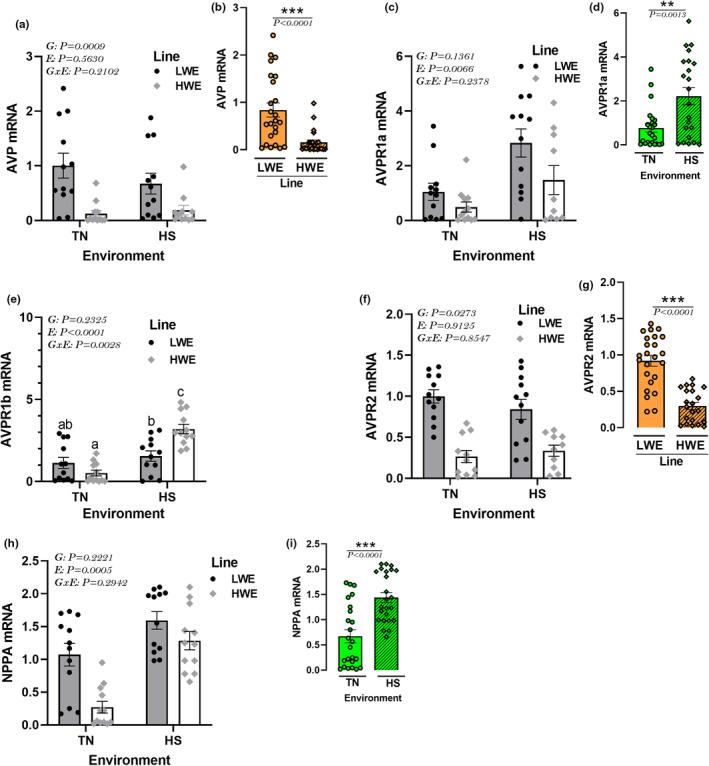 https://cdn.ncbi.nlm.nih.gov/pmc/blobs/c81d/10927601/912940024863/PHY2-12-e15972-g001.jpg
