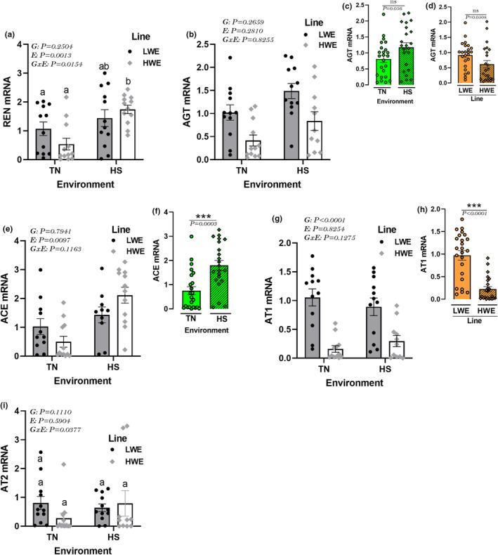 https://cdn.ncbi.nlm.nih.gov/pmc/blobs/c81d/10927601/b8fcdcbec816/PHY2-12-e15972-g010.jpg