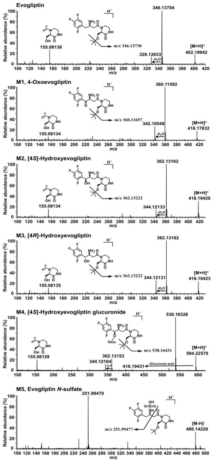 https://cdn.ncbi.nlm.nih.gov/pmc/blobs/c81f/6332232/4d7dba90e7bd/molecules-20-19808-g002.jpg