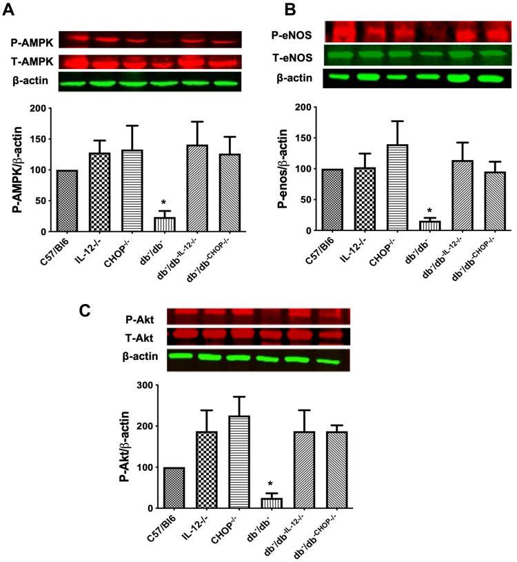 https://cdn.ncbi.nlm.nih.gov/pmc/blobs/c81f/9440700/11057074a76f/DMSO-15-2633-g0003.jpg